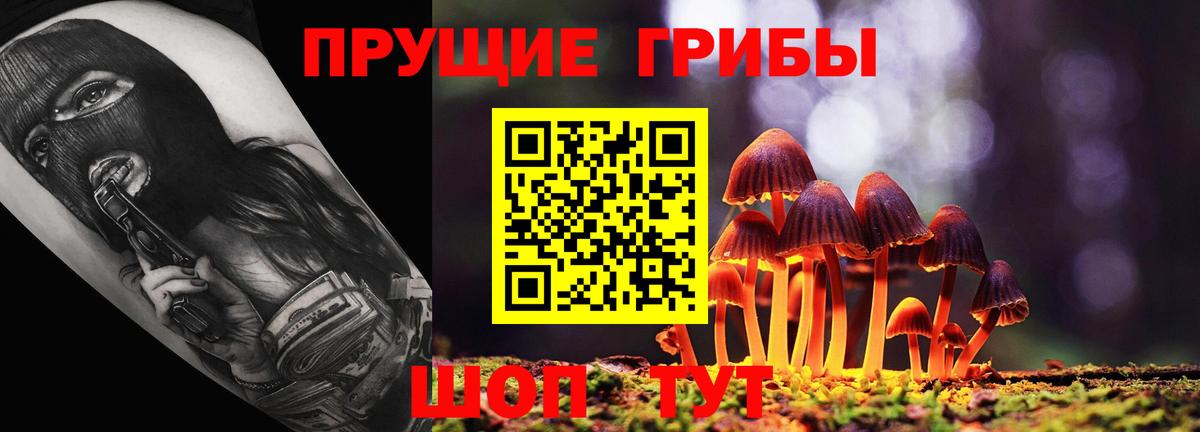 Псилоцибиновые грибы GOLDEN TEACHER Кольчугино